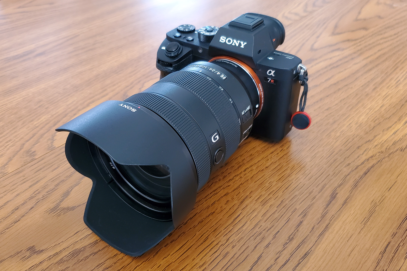 Sony Camera Selection Guide for New Photographers